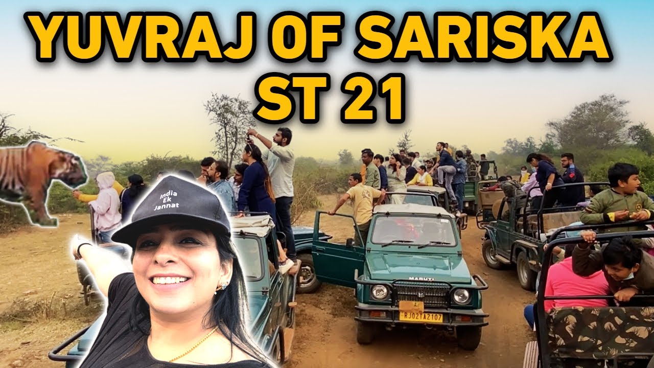 Tiger Sighting at Sariska - What Happened?😱 | #indiaekjannat