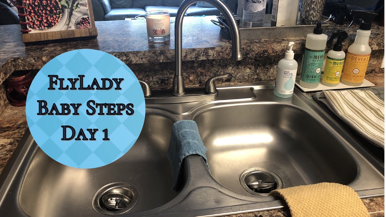 FlyLady Baby Steps Day 1//Shine Your Sink