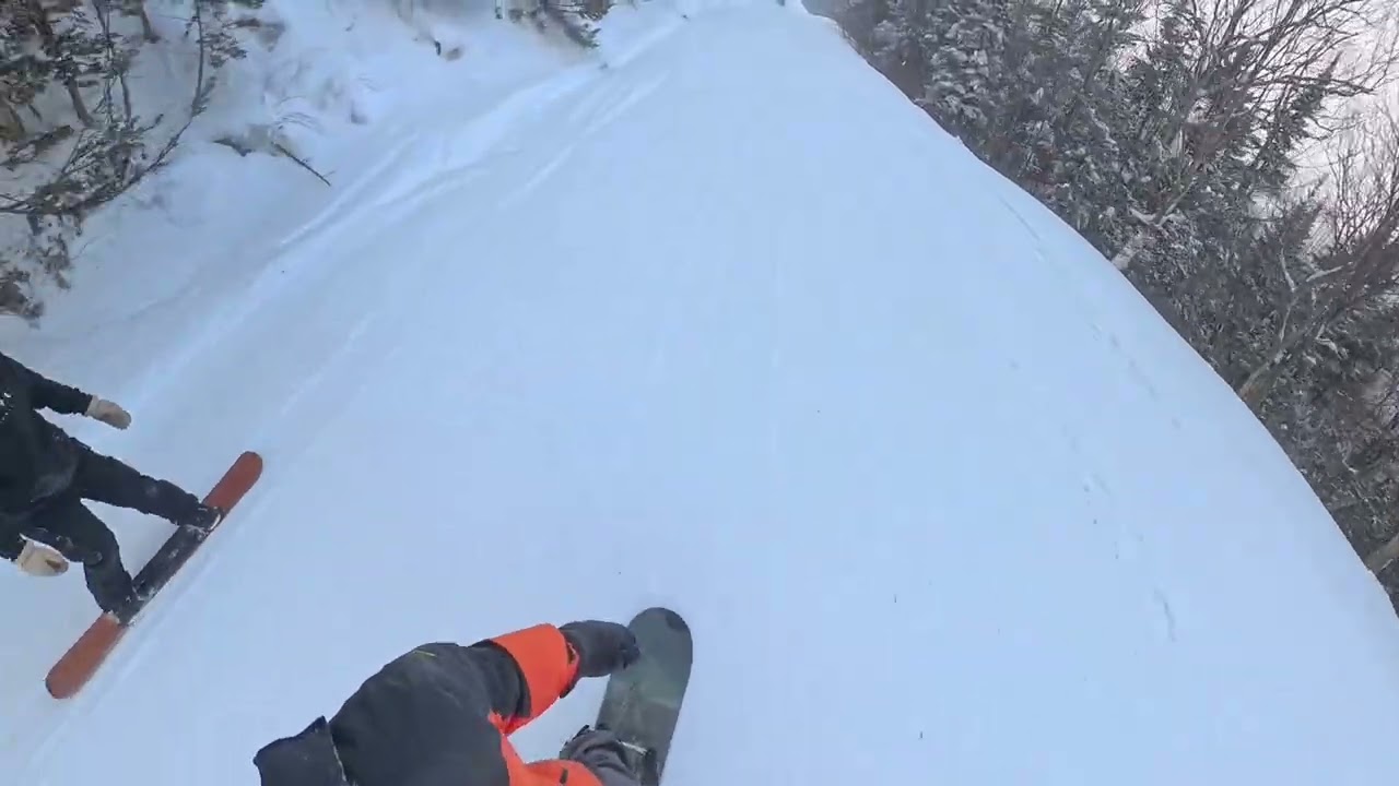 Vahalla into Bonadventure Glades at Jay Peak