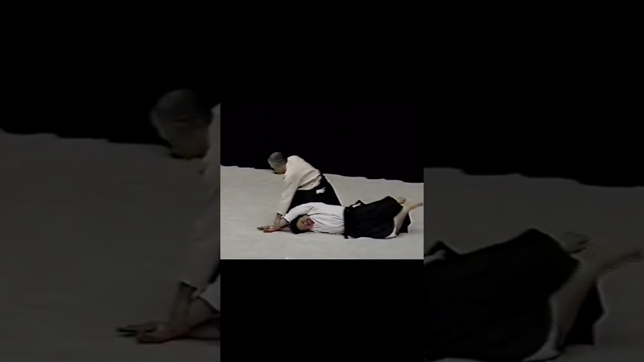 Aikido Sadateru Arikawa Sensei #shorts