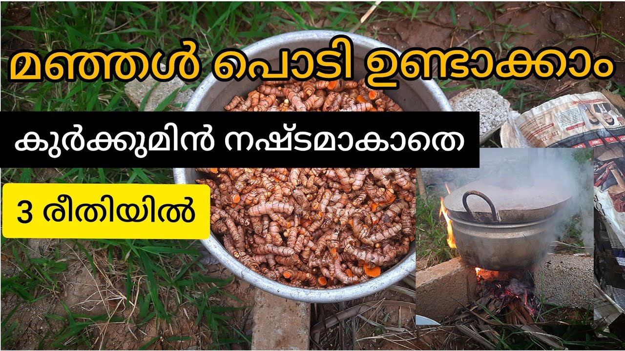 കുർക്കുമിൻ നഷ്ടപെടാതെ മഞ്ഞൾപൊടി ഉണ്ടാക്കാം|3 വഴികൾ