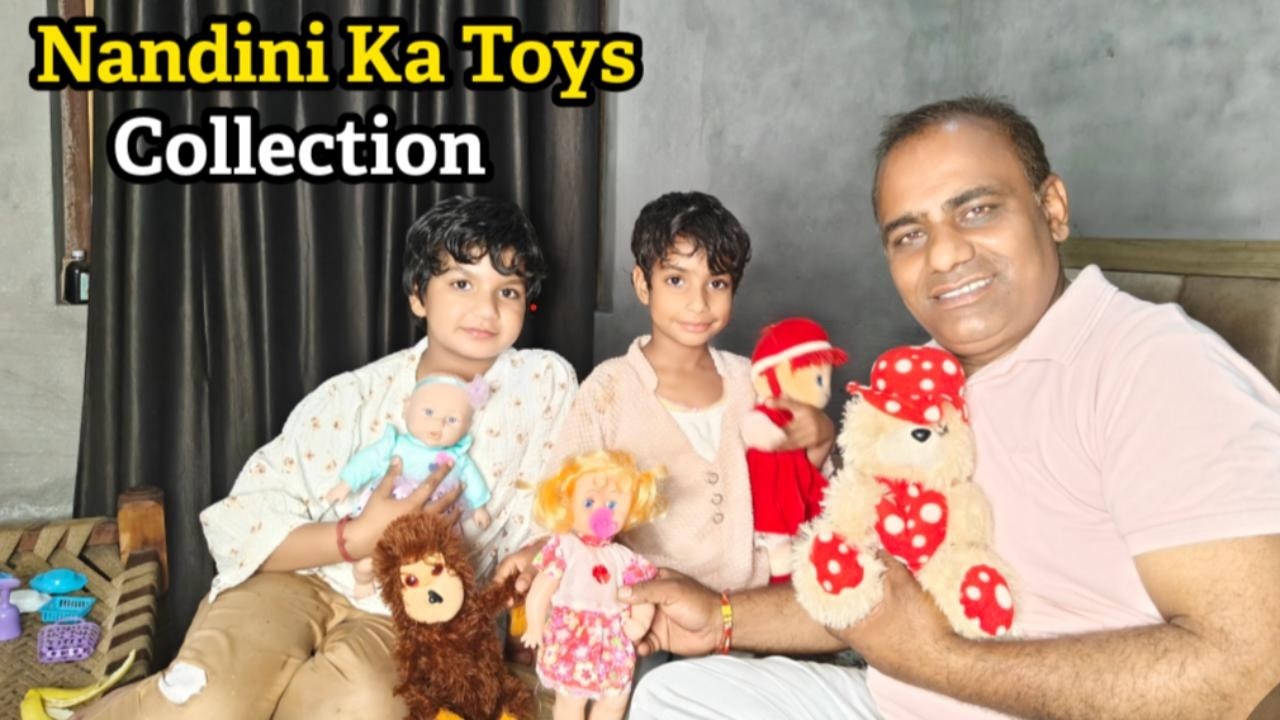 Mil Gya Nandini Ka Toys Collection || Pal Family