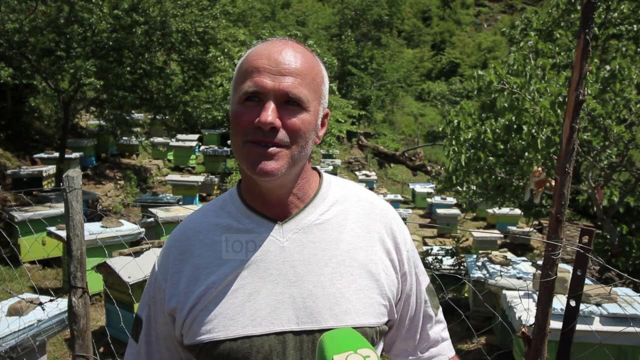 I dashuruar me bletët/ Përmet, pasioni që nisi për të shëruar të bijtë