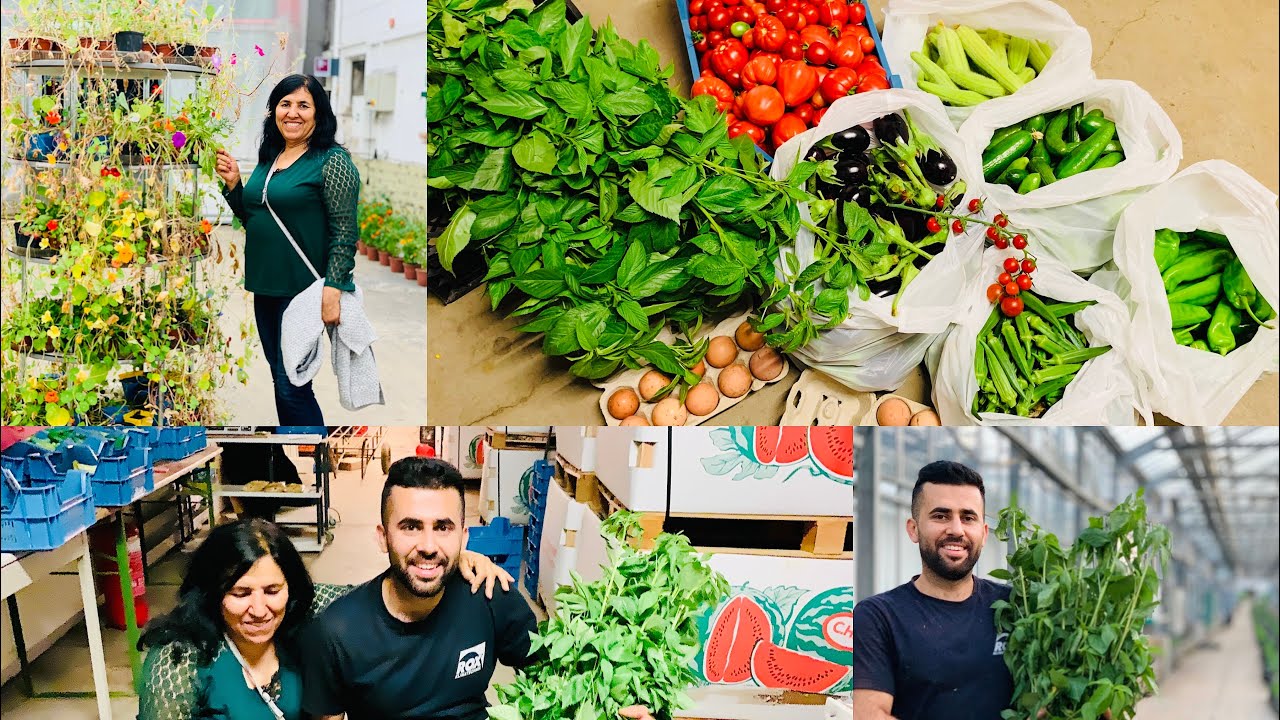جولة في اكبر مزرعه في المانيا😍مزرعه ابوامير✅جوله ممتعه جدا وتسوقنا خضراء طازجه و ملوخيه خضراء😍