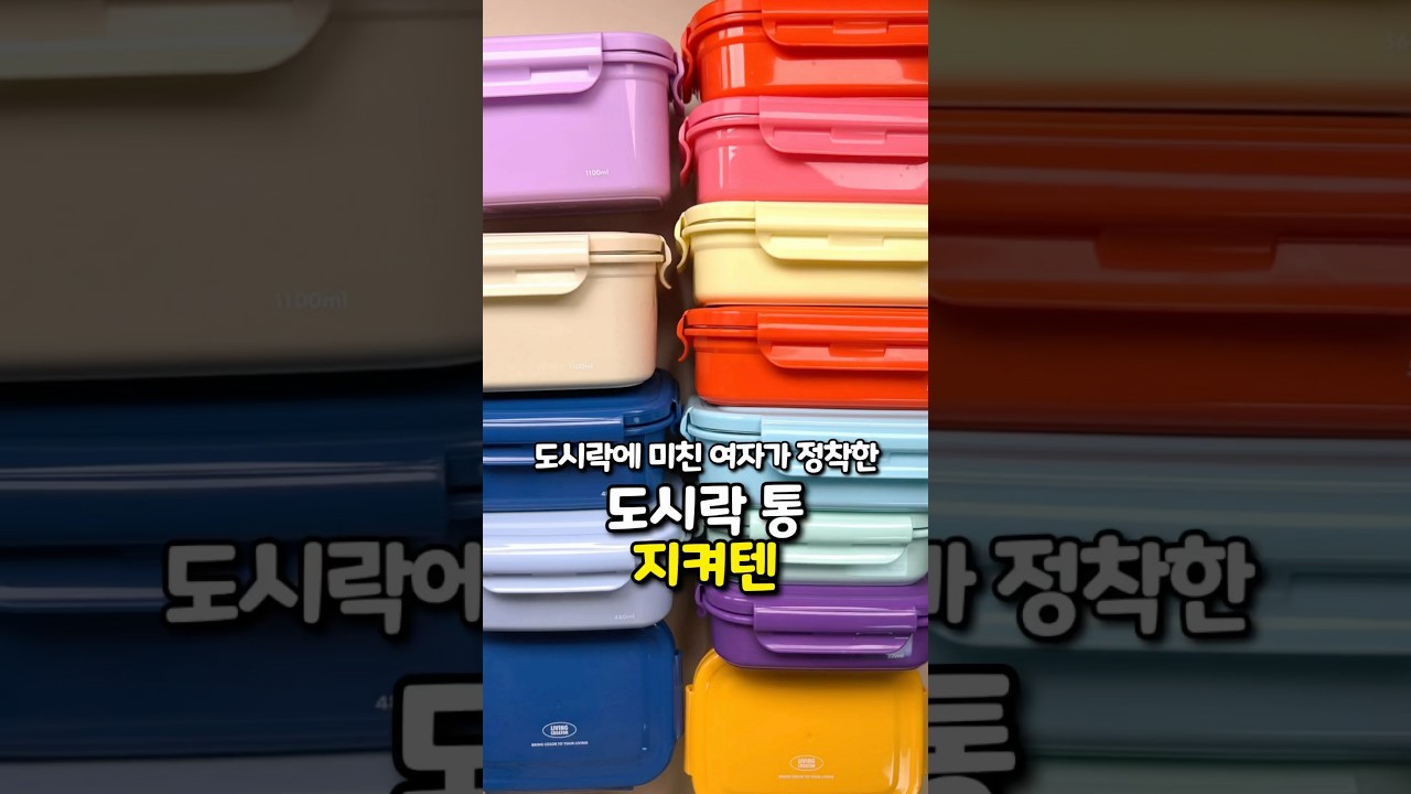 직장인 도시락통 추천템