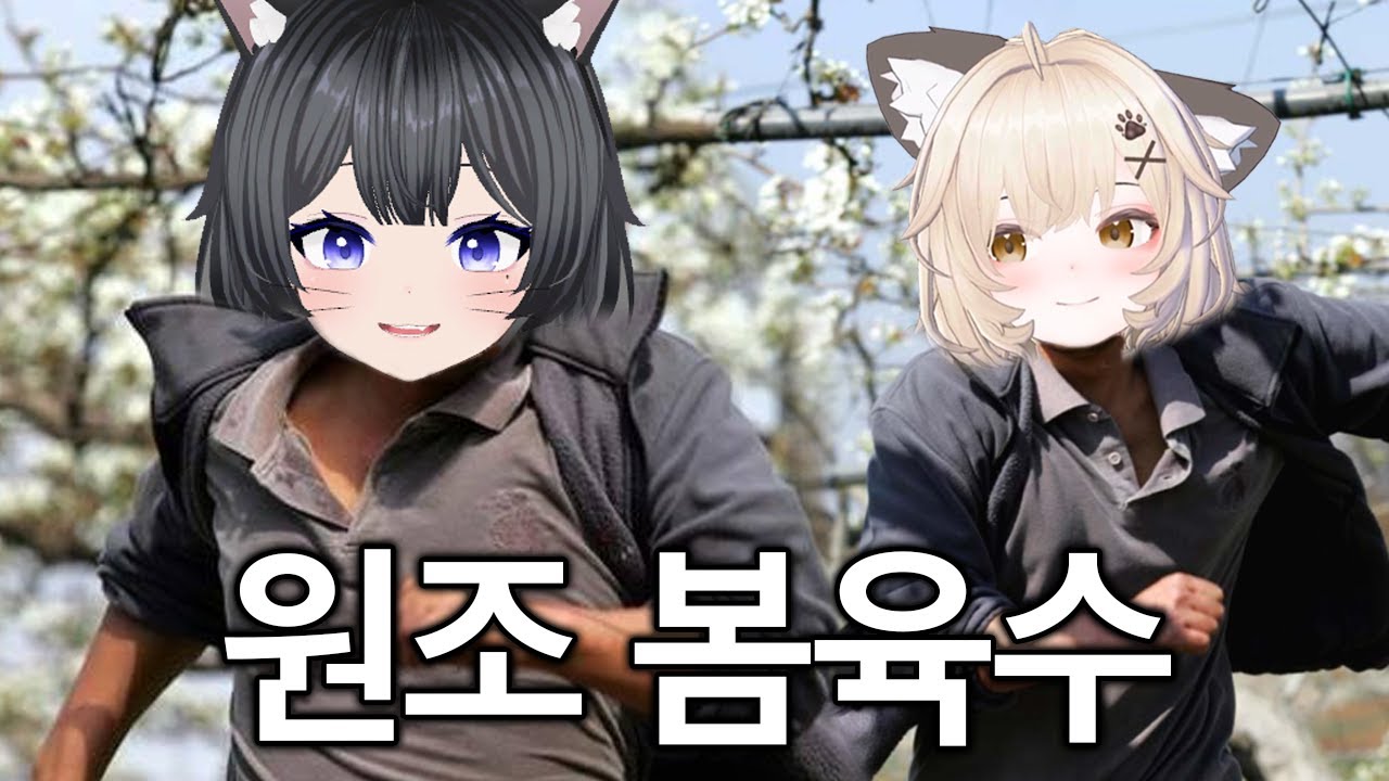 원조 봄육수 행동