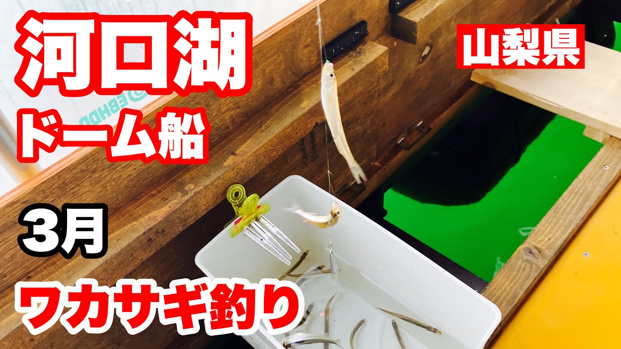 河口湖のドーム船ポワルでシーズン最後のワカサギ釣り　残り30分で奇跡が起こった　#山梨県　#富士河口湖町　#ワカサギ釣り