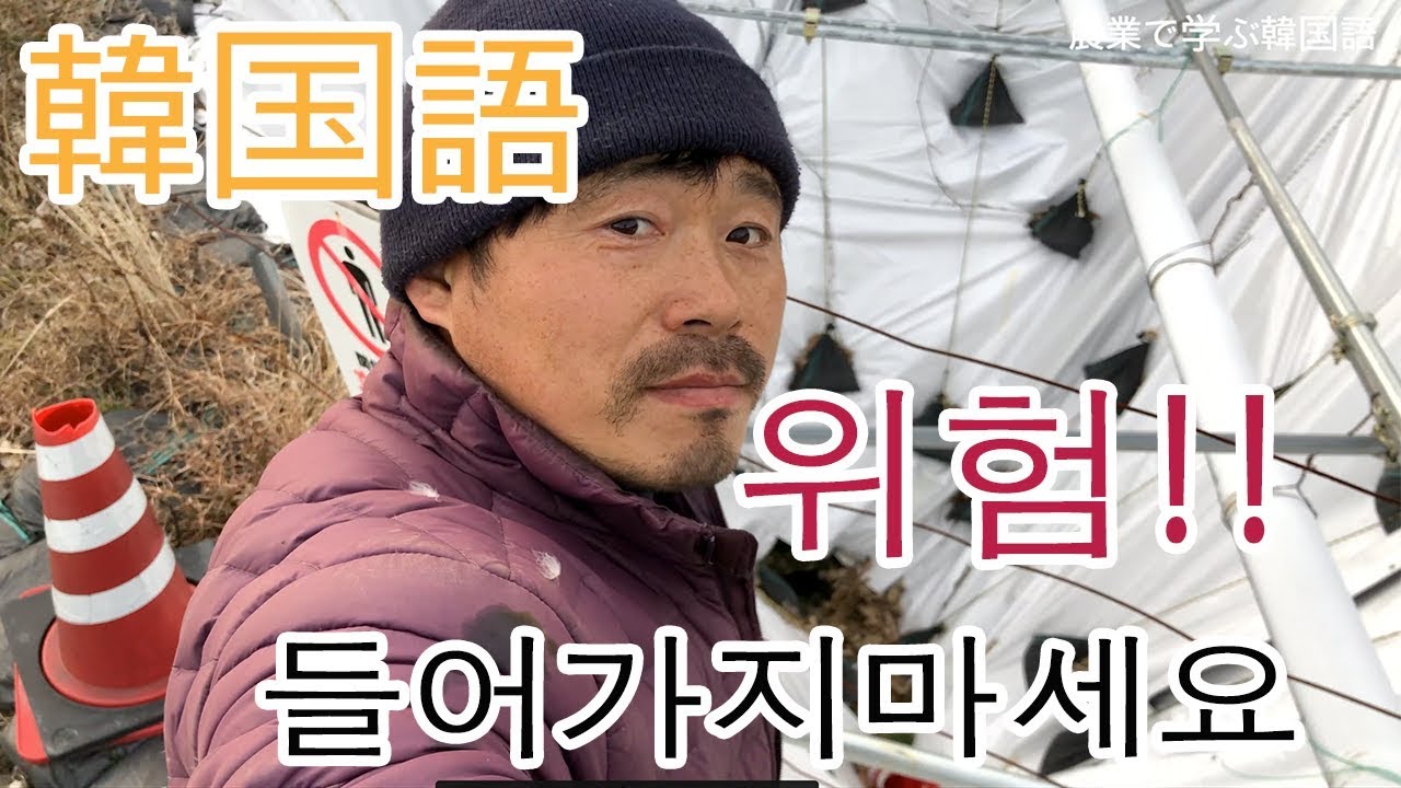 農業で学ぶ韓国語   귓것  キッコッ 散歩 산책サンチェク  来い 일로와イロワ