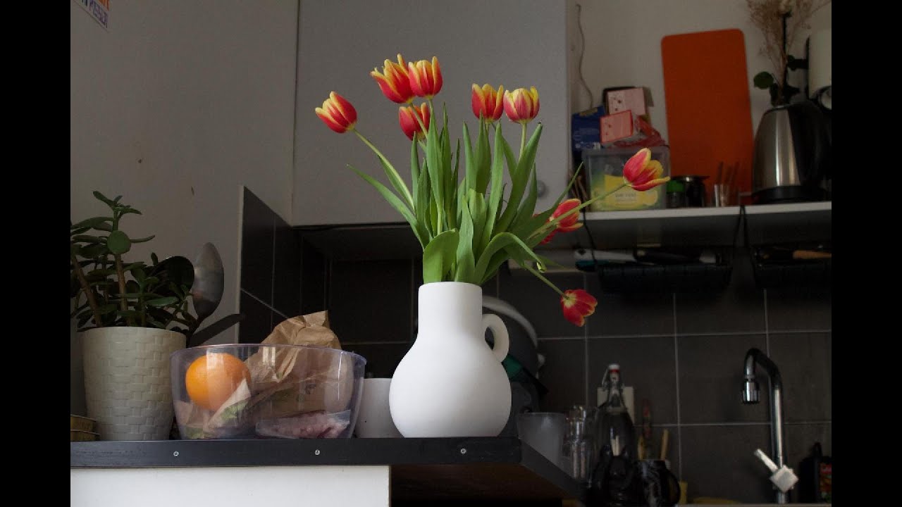 Tulipes | Concours Cinéfabrique 2025