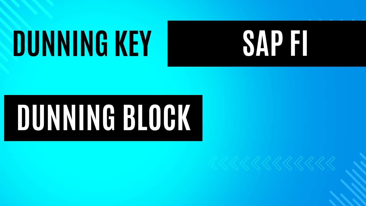 Dunning Key in SAP FI | Dunning Block in SAP FI
