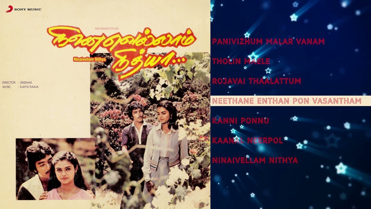 Ninaivellam Nithya Tamil Jukebox | Ilaiyaraaja | Karthik