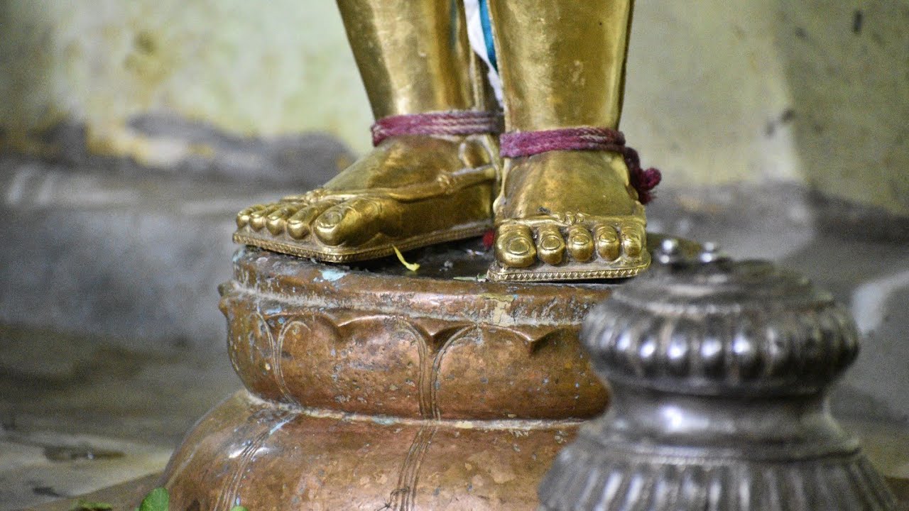 Sri Rajagopalaswamy Rohini Thiruvadi Thirumanjanam Mannargudi.