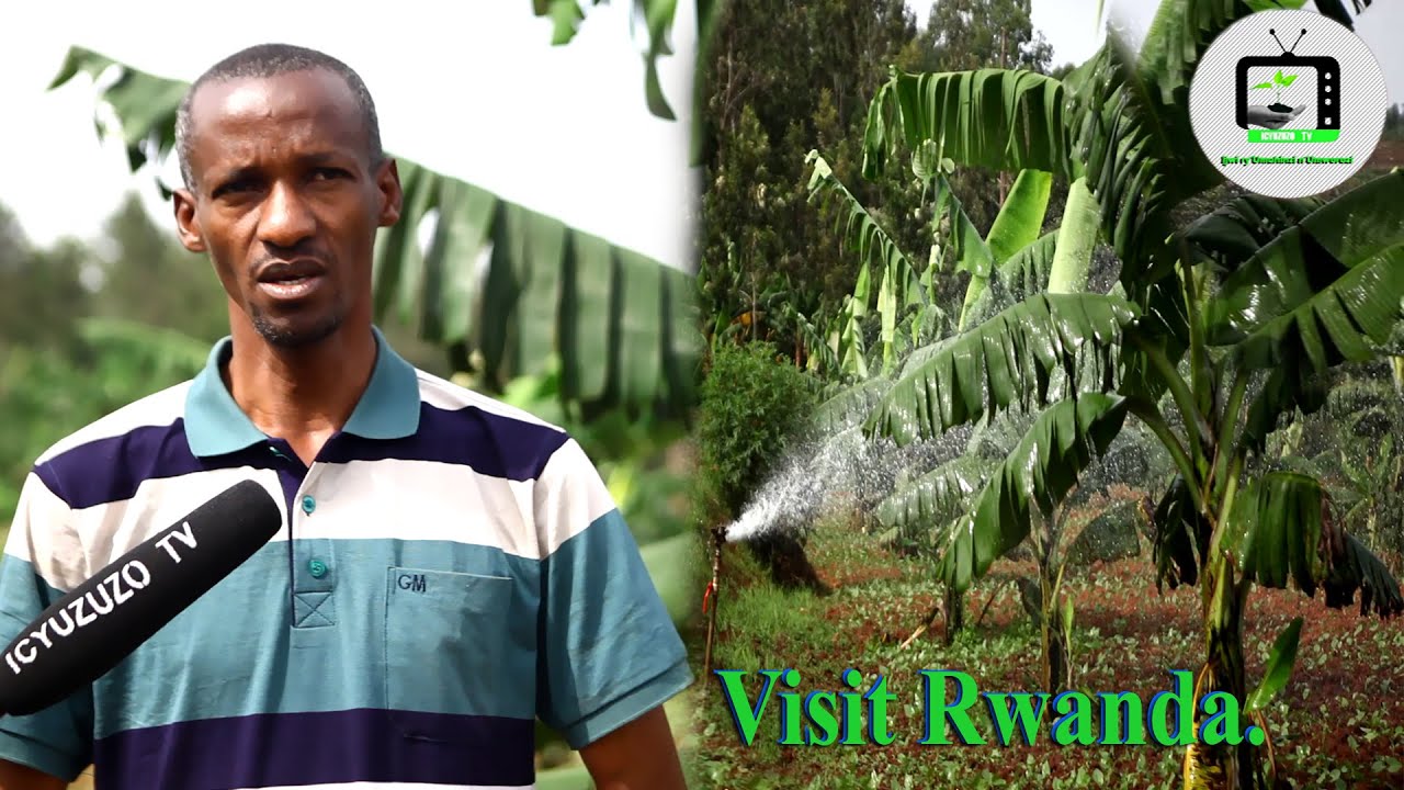 Gisagara|Umuhinzi w' #urutoki wabigize umwuga Alexandre ati: baduhaye nkunganire twaba intangarugero