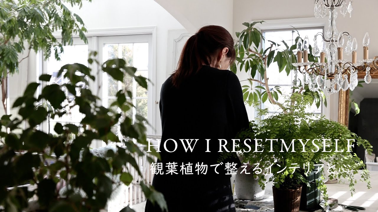 暮らしのVLOG　観葉植物で整えるインテリアと心