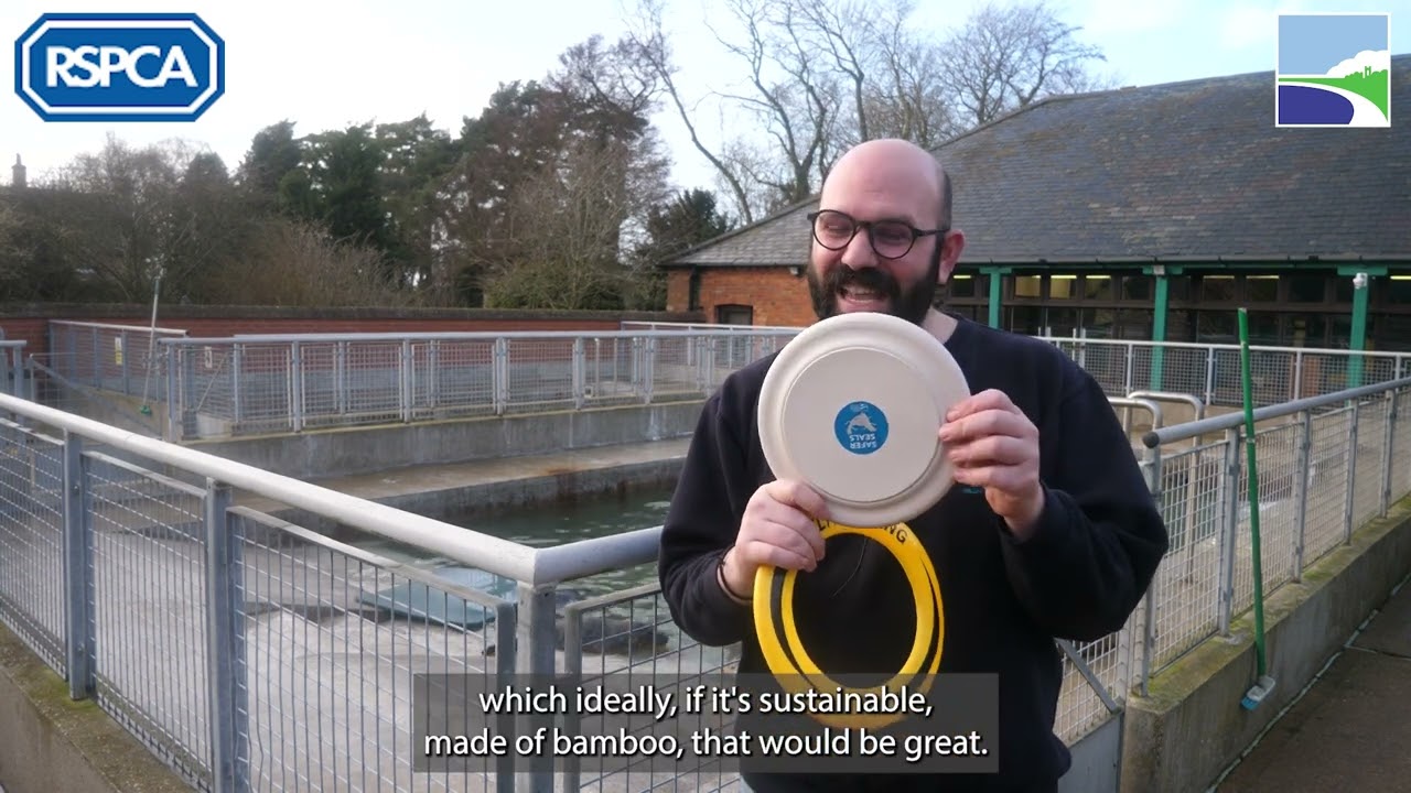 RSPCA East Winch Wildlife Centre on how to be safe around seals