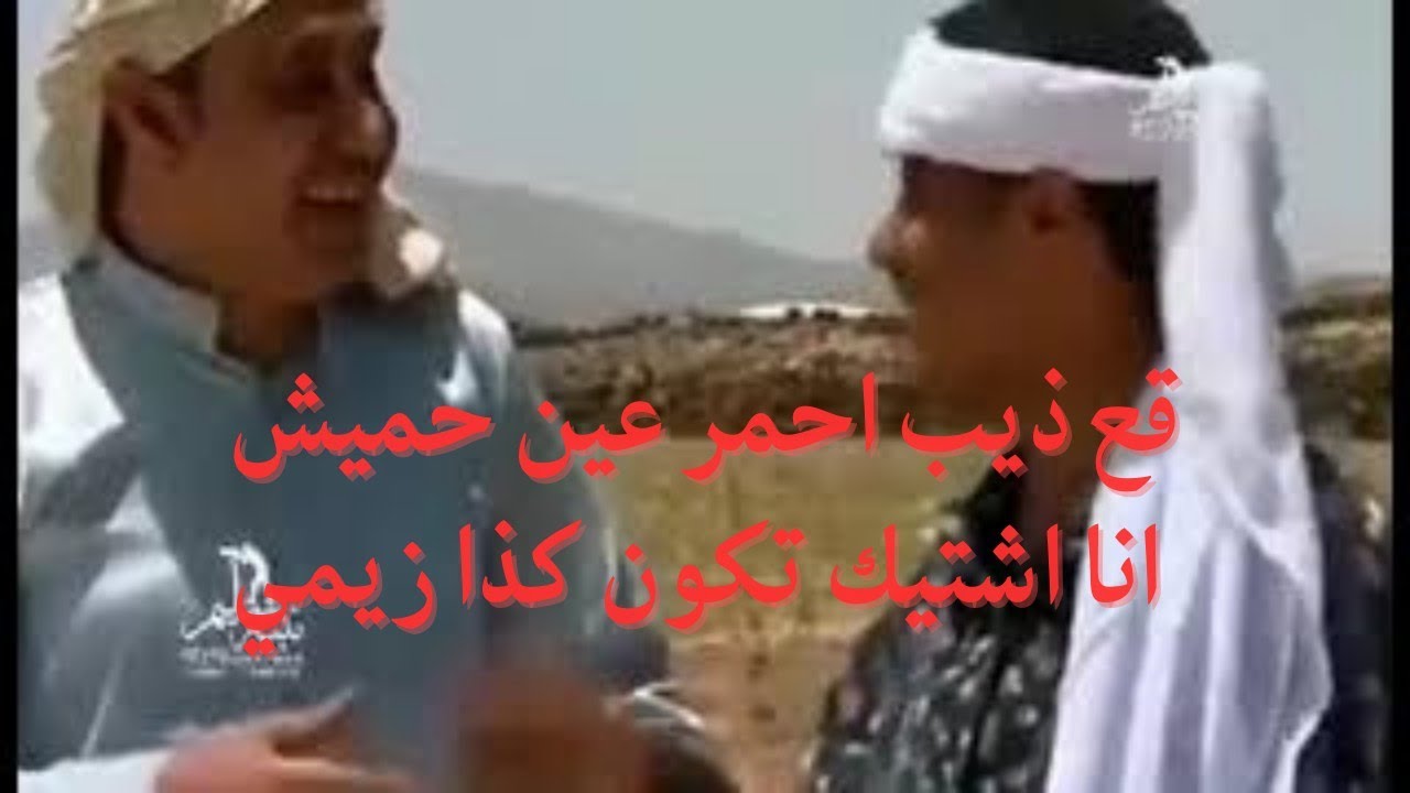 صلاح الوافي كوميدي اشتريت 5بقر بي300الف ذيب حميش🤦🤣🤣🤣🤣🤣