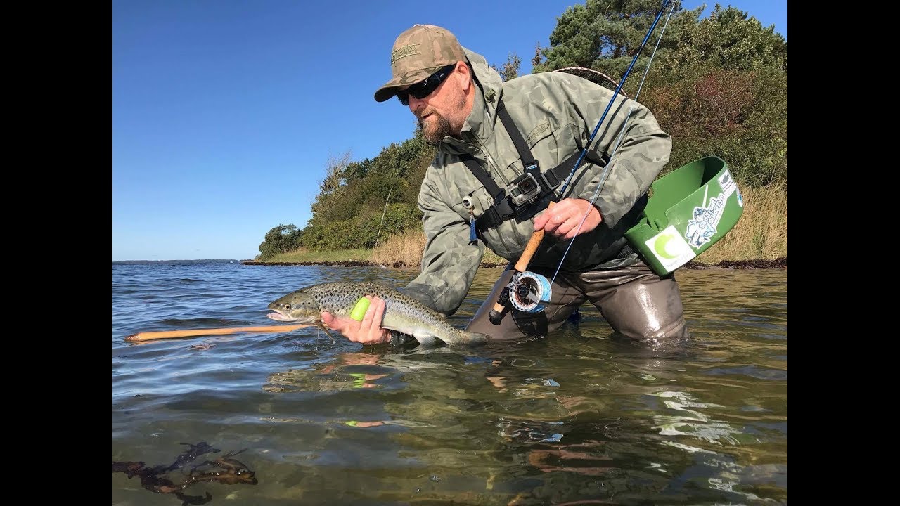 Seatrout Tour de Fyn autumn