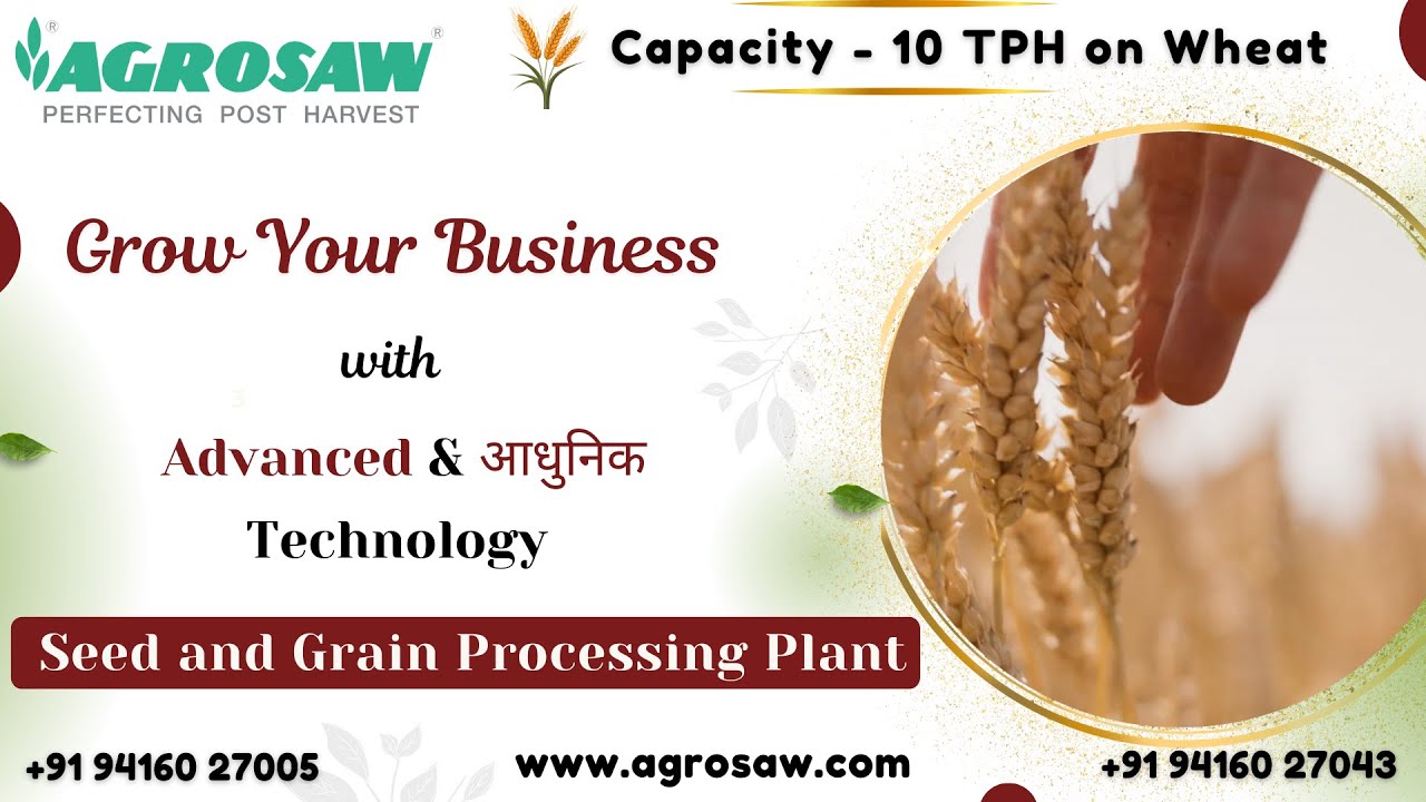🌾 10 TPH Capacity – Wheat Crop Processing Plant | High-Efficiency Post-Harvest Solution | Agrosaw