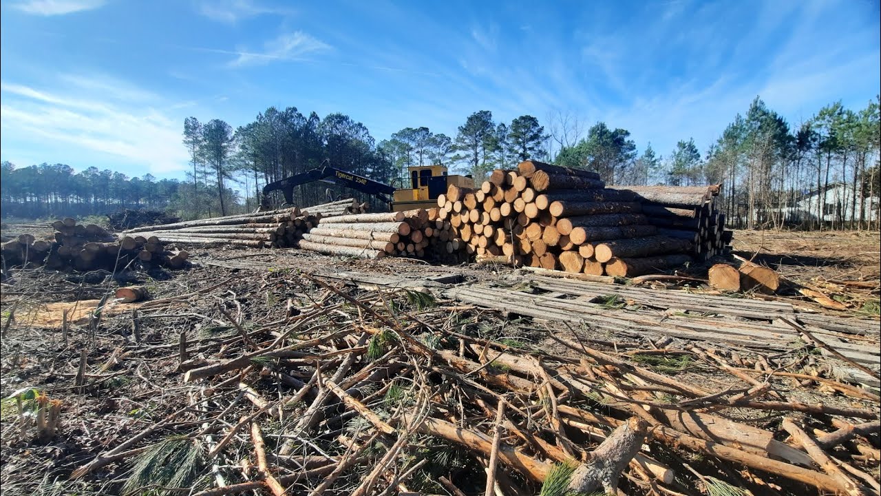 Heavy Equipment Logging Operation