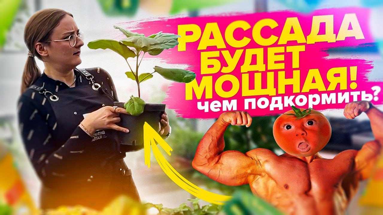ПОСЛЕ ЭТОЙ ПОДКОРМКИ РАССАДА ПОПРЕТ! Питание растений