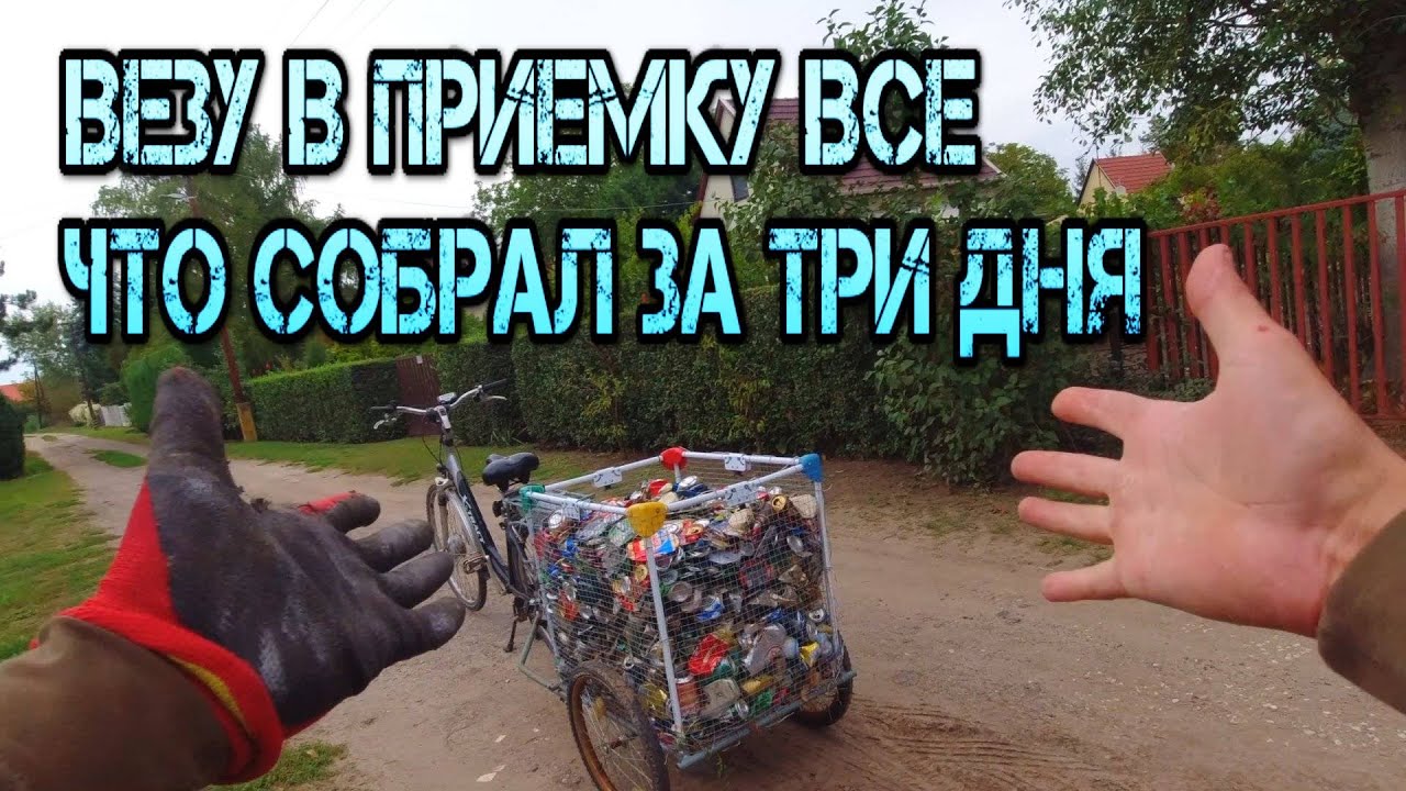 Сколько можно заработать на сборе алюминиевых банок ?