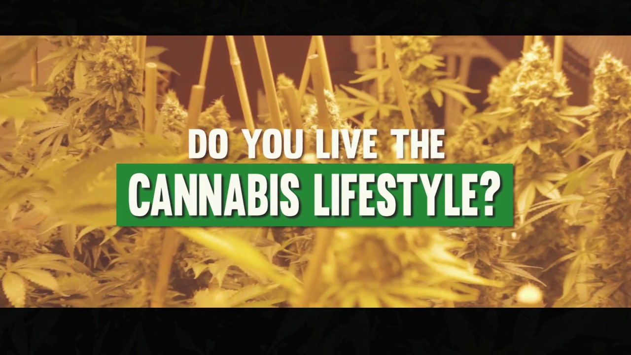 Do You Live The Cannabis Lifestyle? | Cannabis Lifestyle TV Channel Trailer