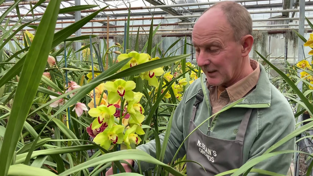 McBean’s walk around newly refurbed glasshouse with head nurseryman Jim Durrant