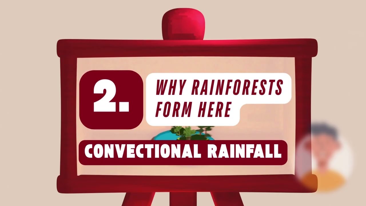 Where Are Hot Deserts & Tropical Rainforests? | GCSE Geography Location Hack