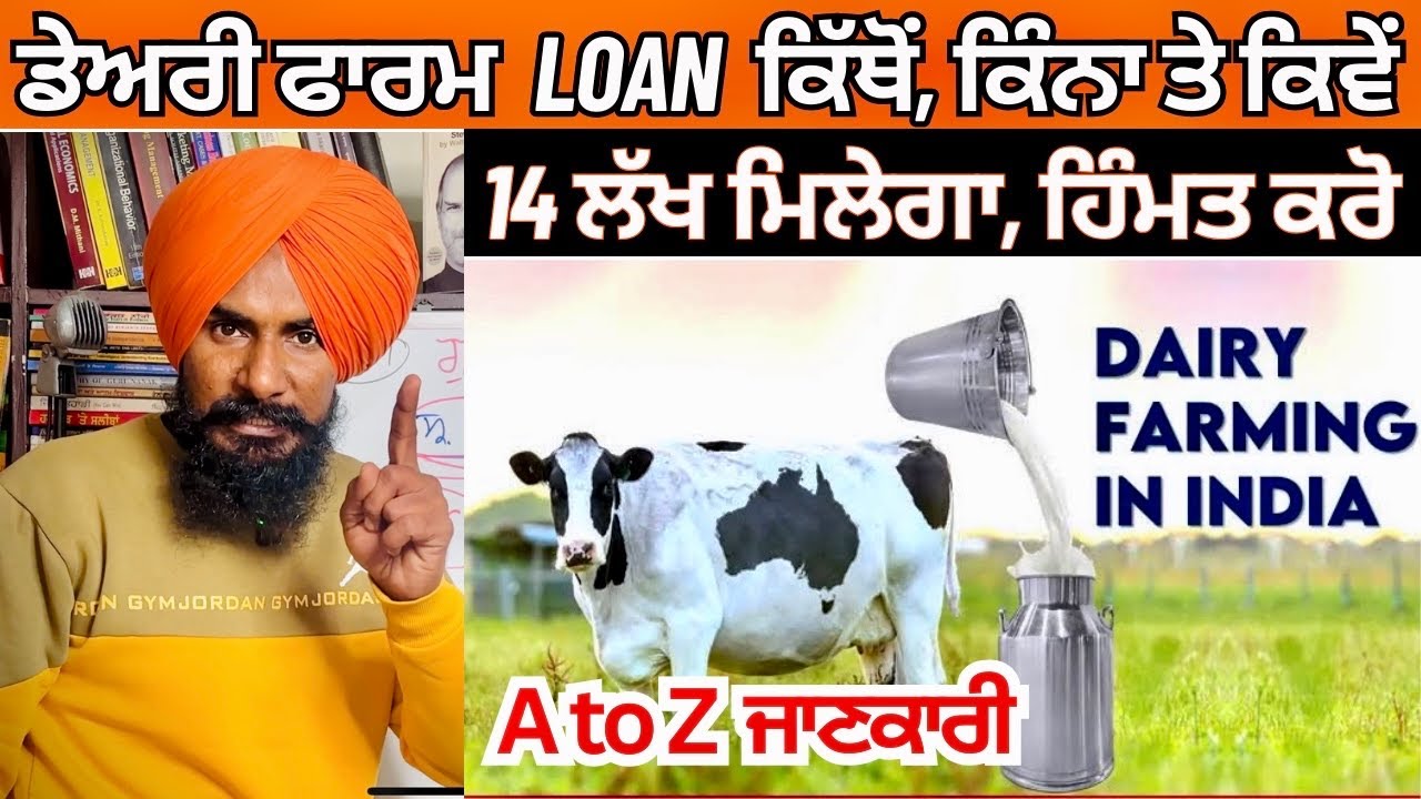 ਪਸ਼ੂ-ਪਾਲਣ ਲਈ Loan ਕਿੱਥੋਂ ਤੇ ਕਿਵੇਂ ਮਿਲੇਗਾ ? Dairy Farming Loan Schemes in Punjab |