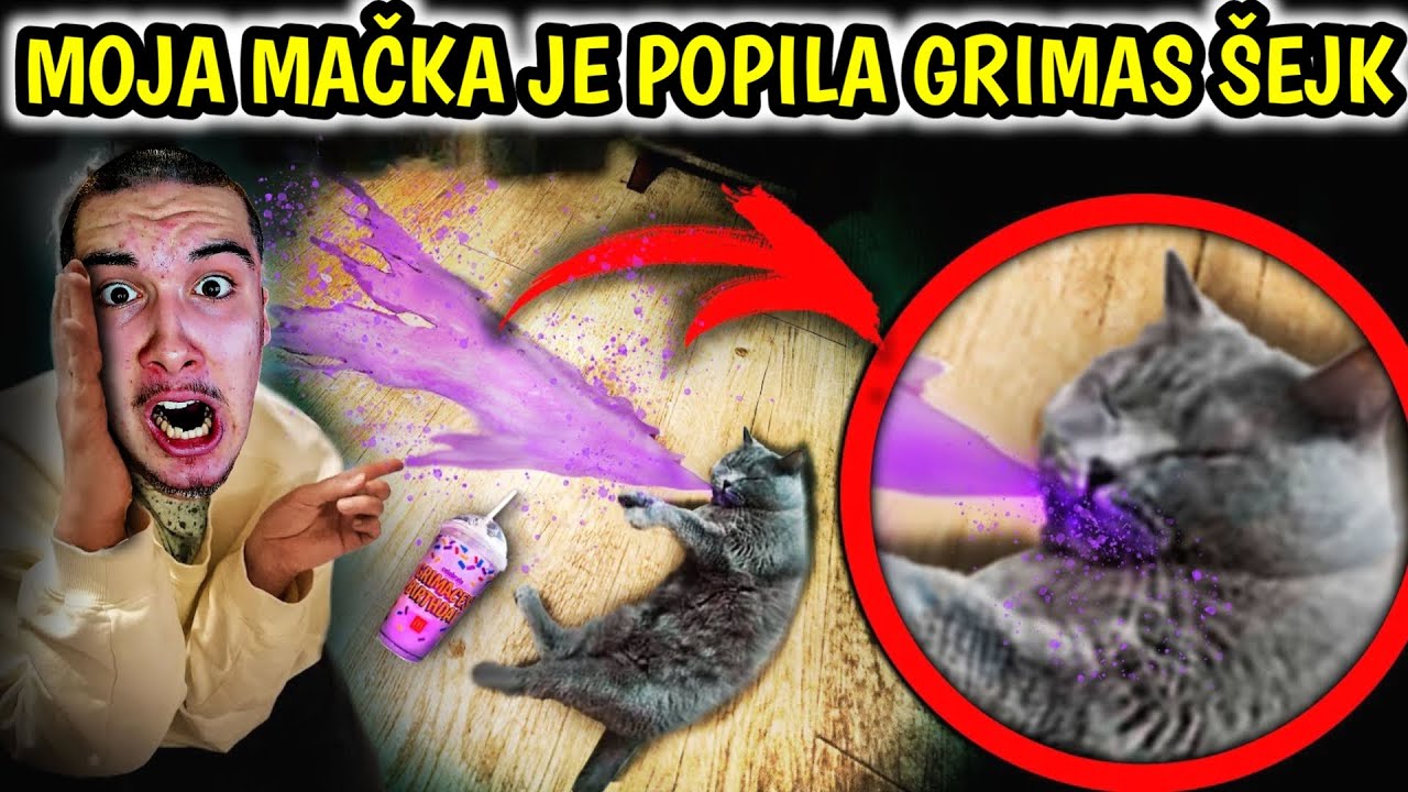MICKO JE POPIO GRIMAS ŠEJK! *poljubičastio je i počeo se pretvarati u grimasa*