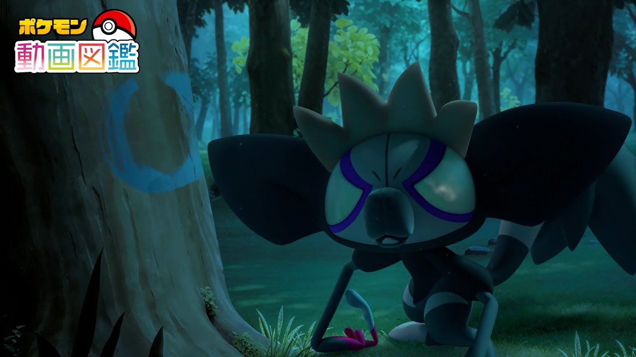 【公式】「ポケモン動画図鑑」No.0945 タギングル