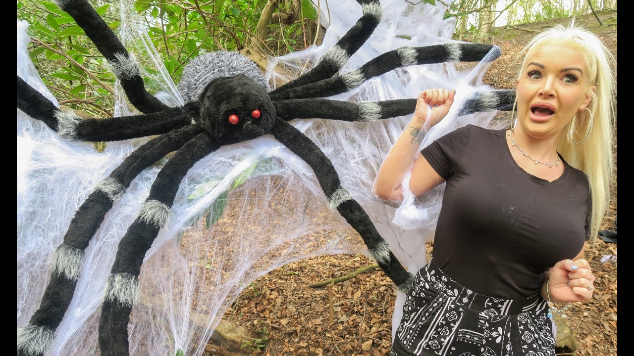 GIANT SPIDER Bert SAVES Mommy!! Funny Skit in real life!