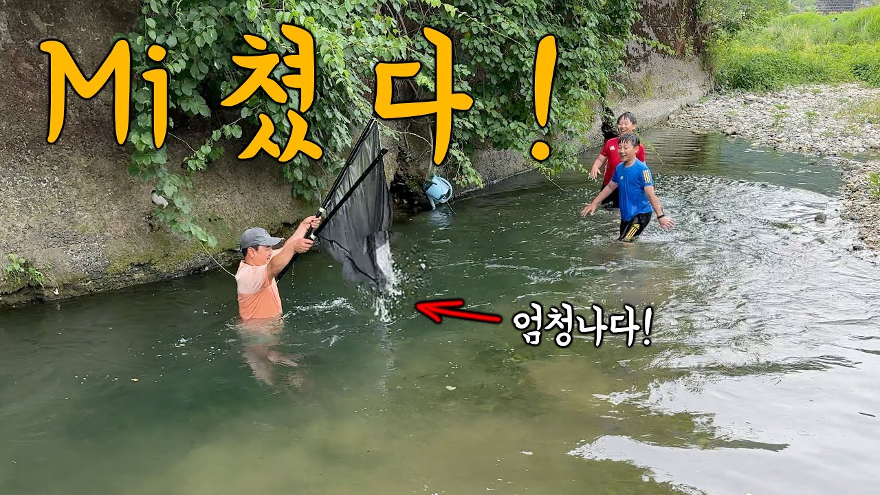 깊은 계곡에서 이렇게 잡을 수 있다고!? 한방에 수십마리! 최고의 계곡 족대질!