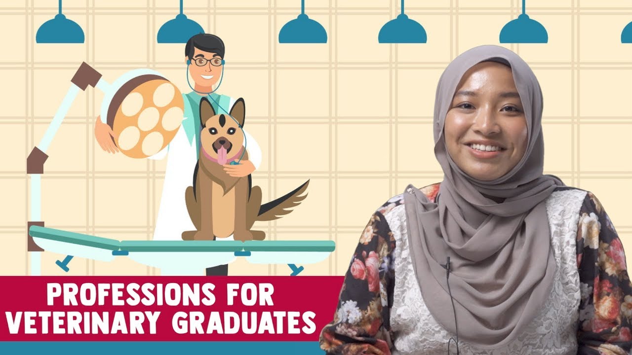 Professions for Veterinary Graduates
