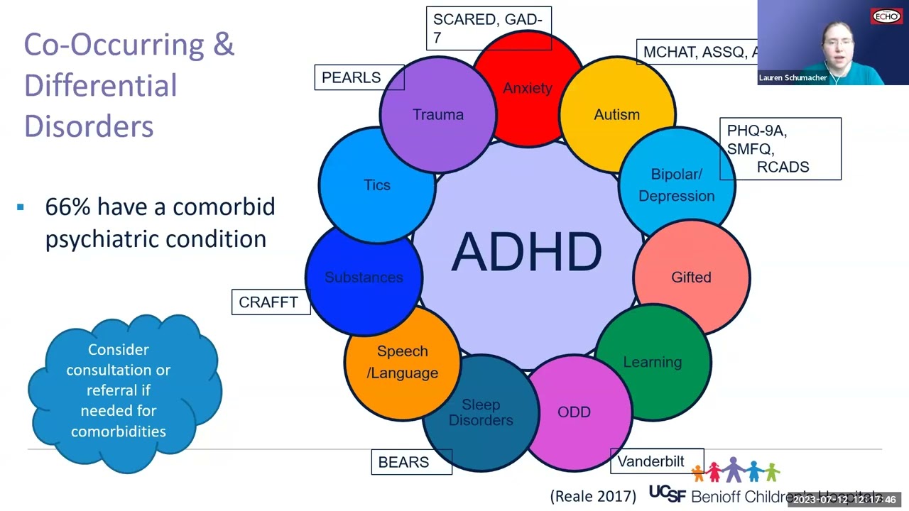 ADHD ECHO - July 2023