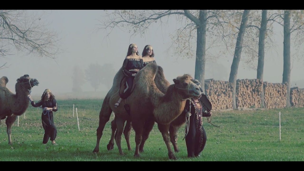 Arabian Nights    - pozvánka na maturitní ples GYMNÁZIUM SLANÝ