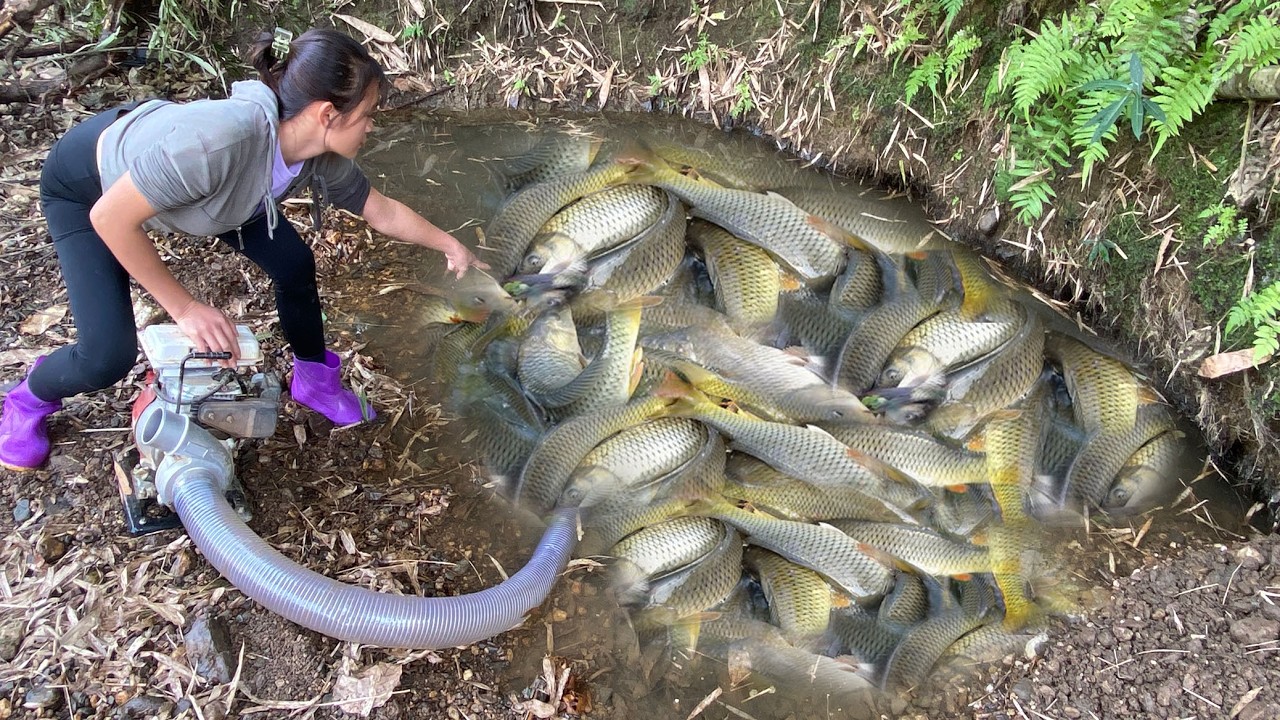 Flexible use of pump to suck carp nests in natural lakes / fishing Girl