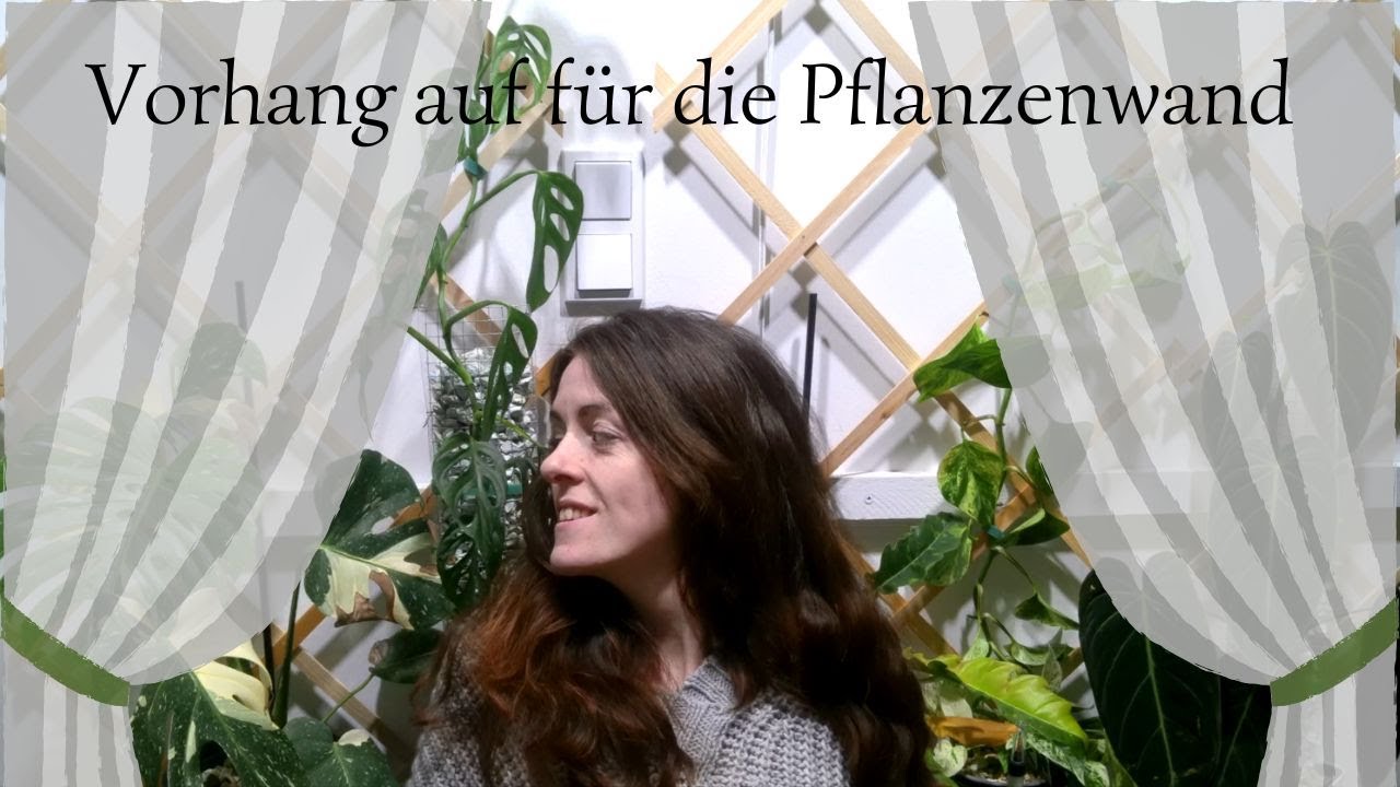 Diese Pflanzenwand verändert den ganzen Raum 🌱