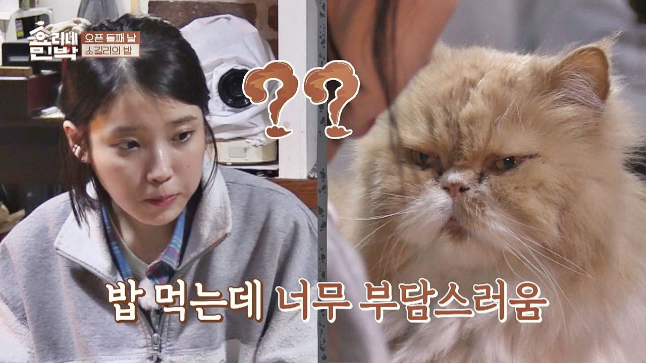 지은 바라기♡ 미미의 뜨거운 시선(!) 내 눈을 바라봐~ 효리네 민박 3회