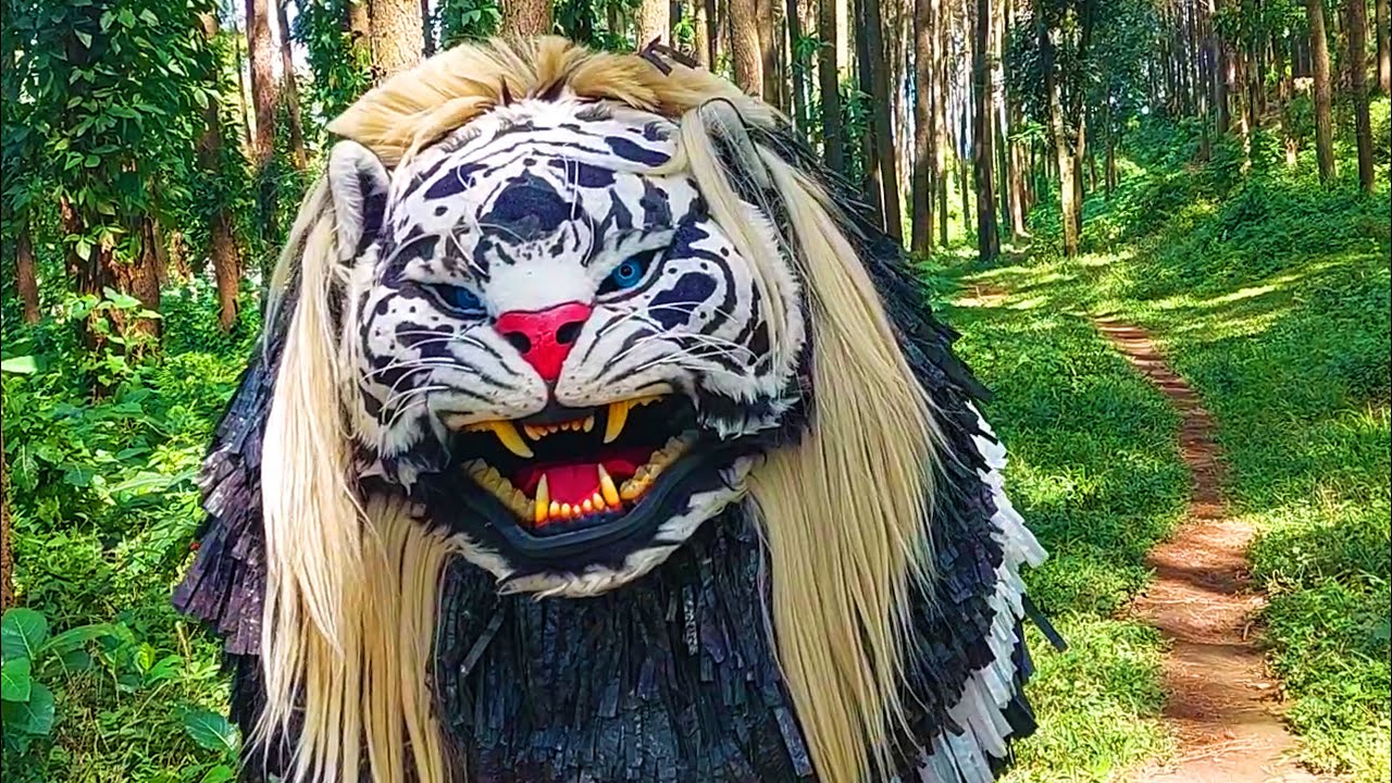 Can Macanan Singo Manggala Putih | MC HD