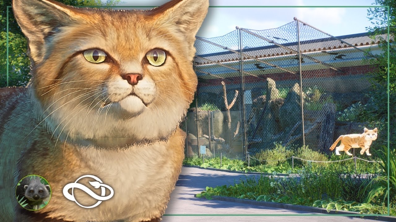 Добавление барханных кошек в зоопарк Оуквуд! | Desert House | Planet Zoo