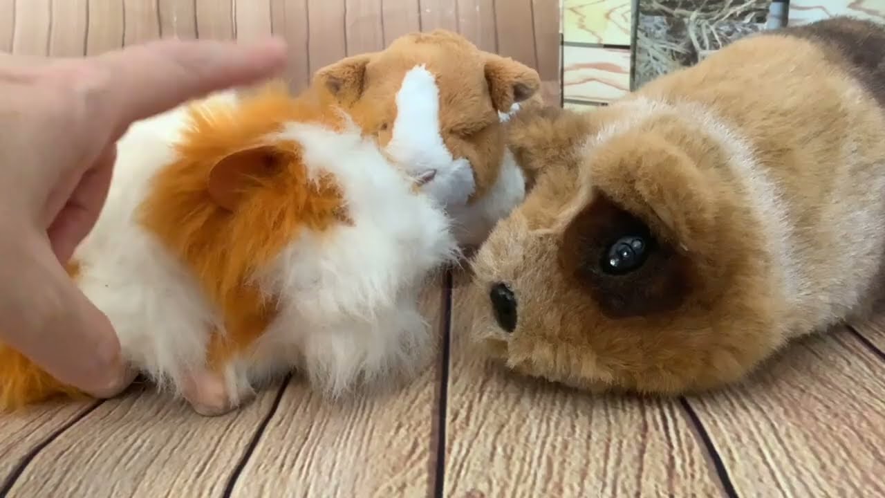 Vintage Collectable Robotic Pets: Unboxing of Animagic Interactive Guinea Pig & Comparison