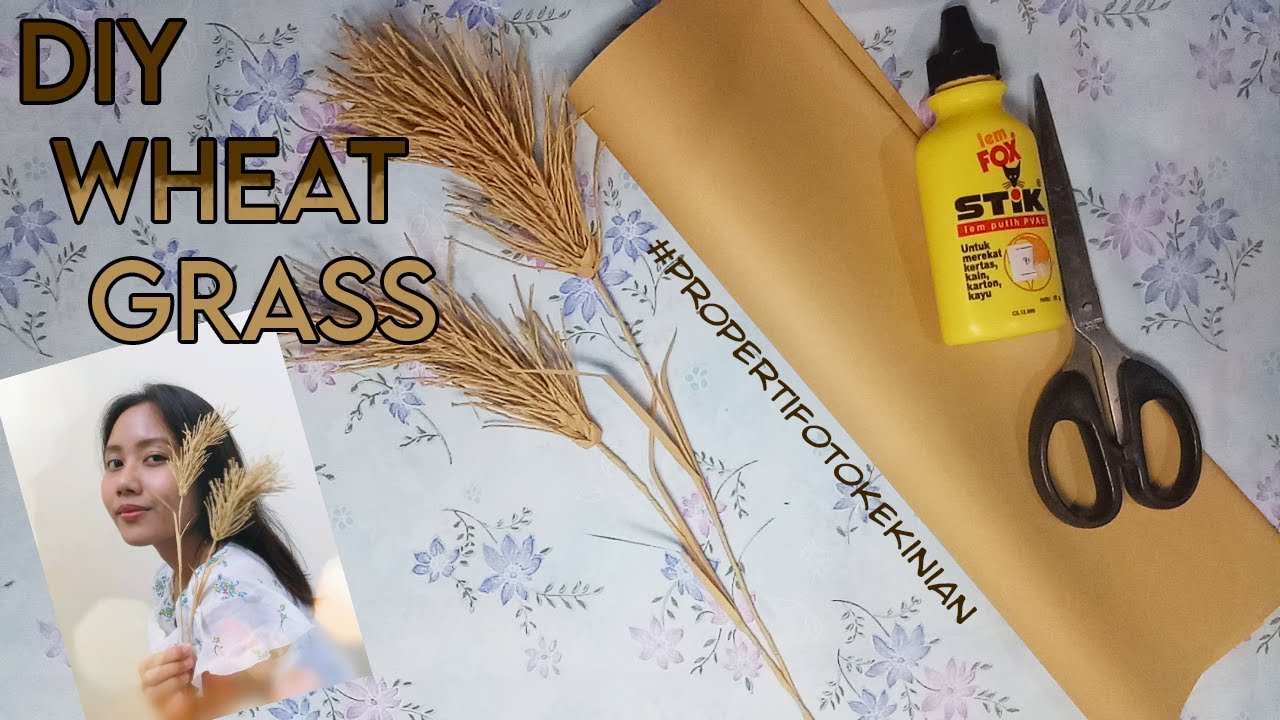 DIY Rumput Gandum Kering (Wheat Grass) untuk Property Foto