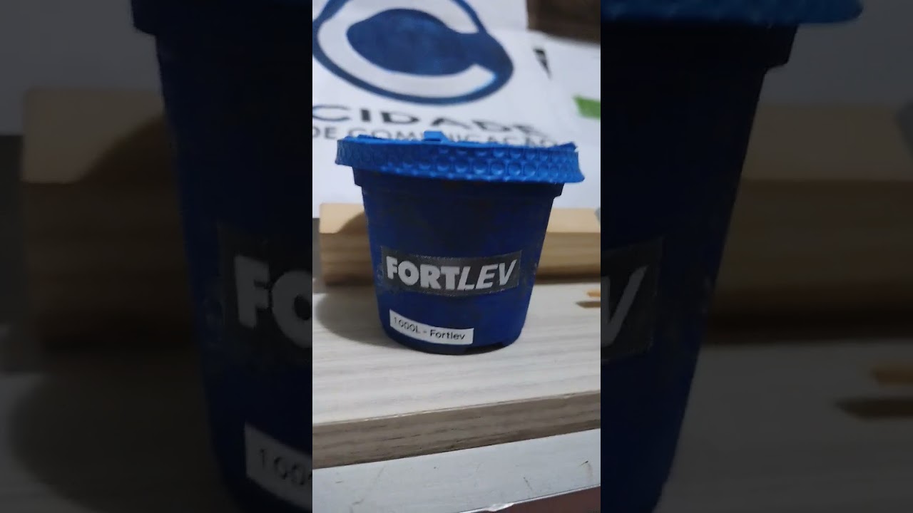 fortlev logo 2024