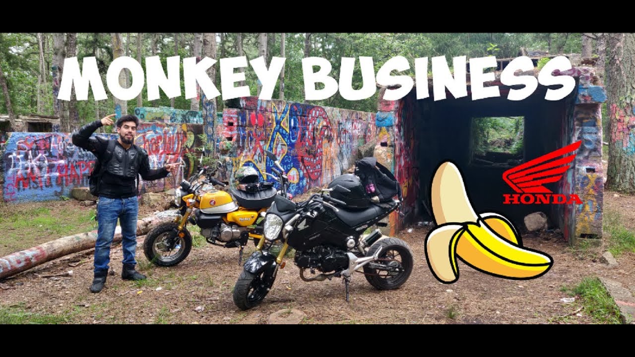 Honda Monkey против Honda Grom Off Road Adventure