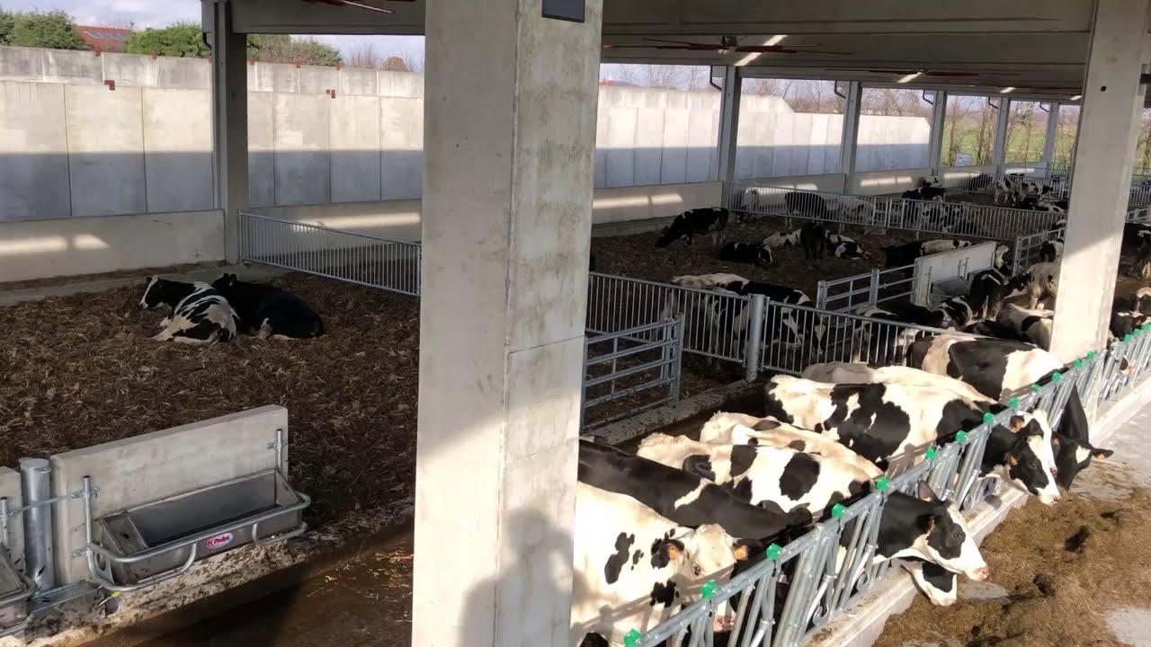 BREMBO FARM: E' nata una stalla!