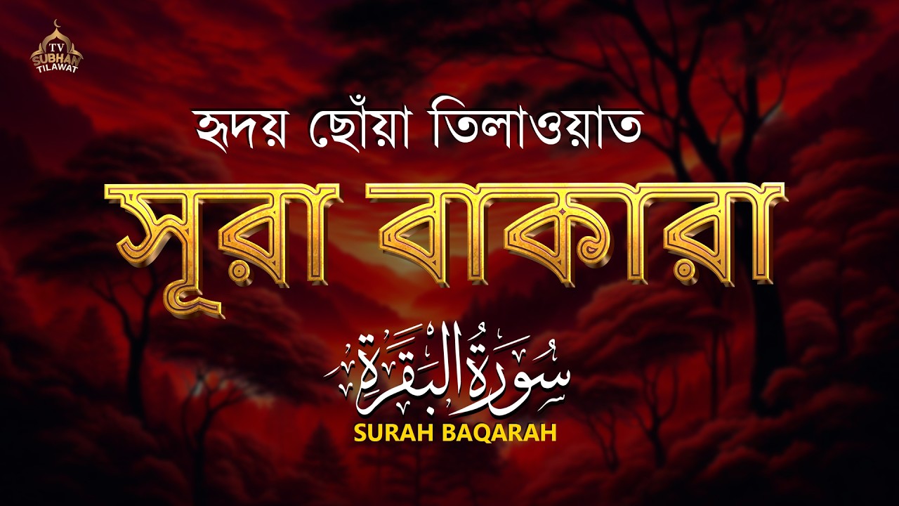 পৃথিবীর সবচেয়ে আবেগময় সুরা বাকারা তেলাওয়াত | Surah Al Baqarah (سورة البقرة) by Alaa Aqel