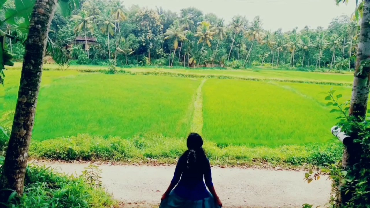 Ponnunni poonkarale malaylam nadan pattu