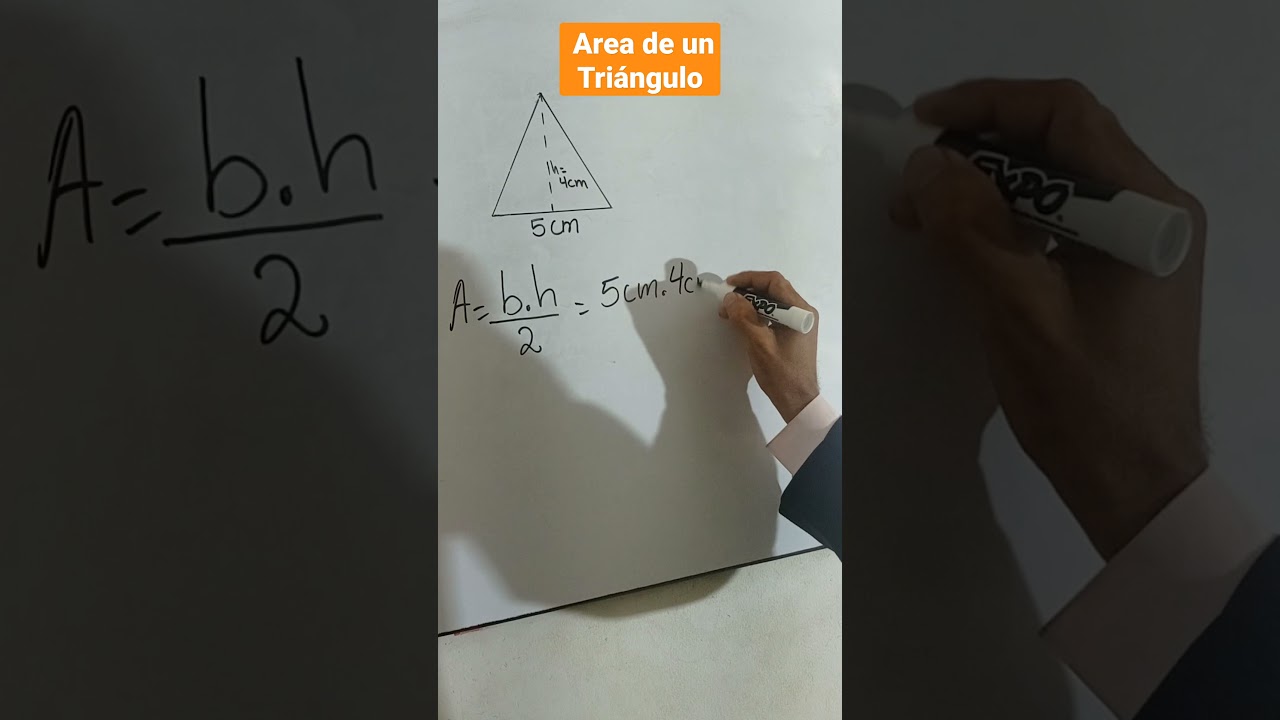 Area de un Triángulo 