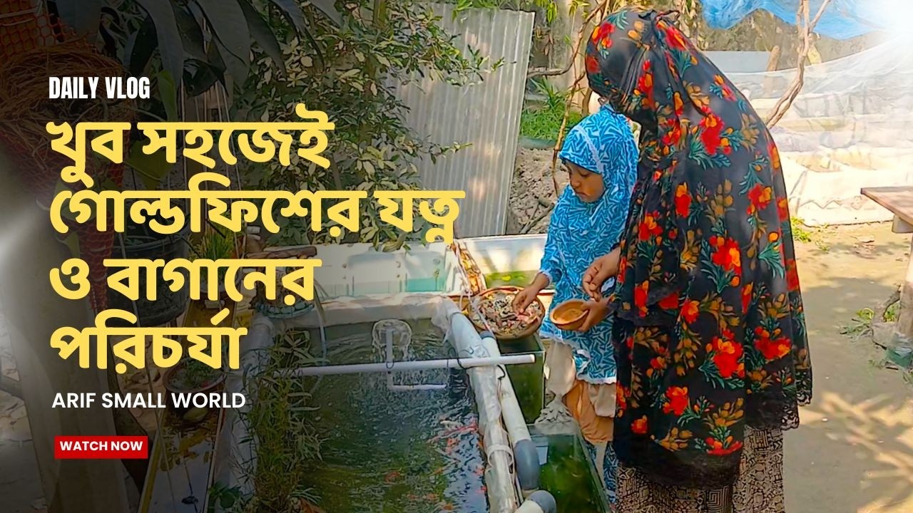 রঙিন মাছের খাবার দেওয়া, নটকল গাছের ও ইনডোর প্ল্যান্টস এর পরিচর্যা | DIY Outdoor Fish Setup